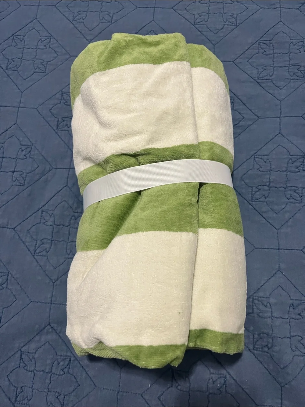 Pottery Barn beach towel